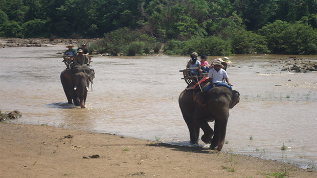   Đắk Lắk: Môi trường du lịch ngày càng được cải thiện